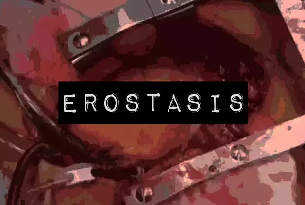 Cover art for EROSTASIS